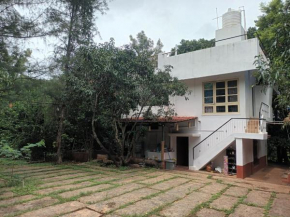 Nanidam